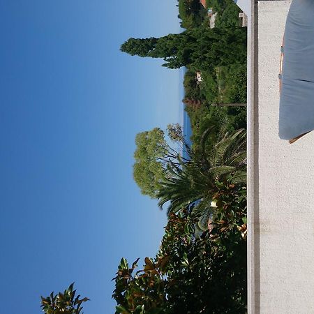 Apartment PinoAppLosinj Veli Lošinj Extérieur photo